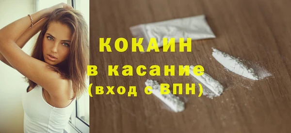 стафф Алексин