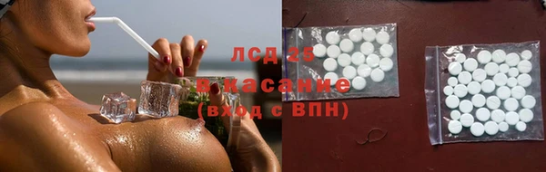 стафф Алексин