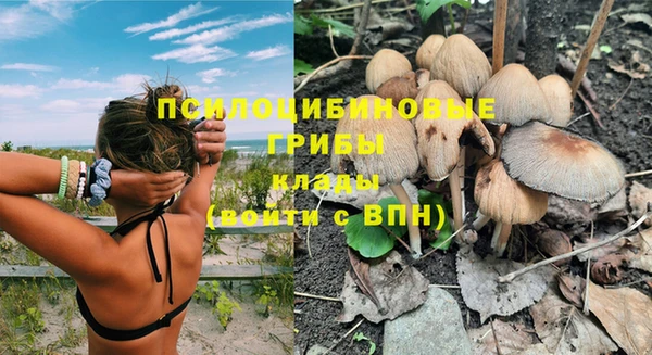 мяу мяу мука Алзамай