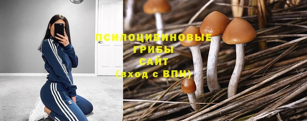 стафф Алексин