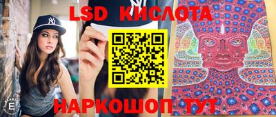 Альфа ПВП Владивосток