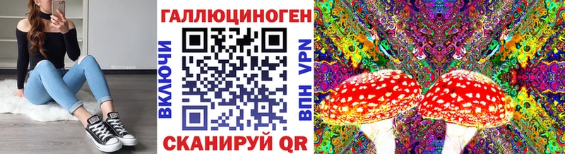 магазин    Курск  omg   Галлюциногенные грибы GOLDEN TEACHER 