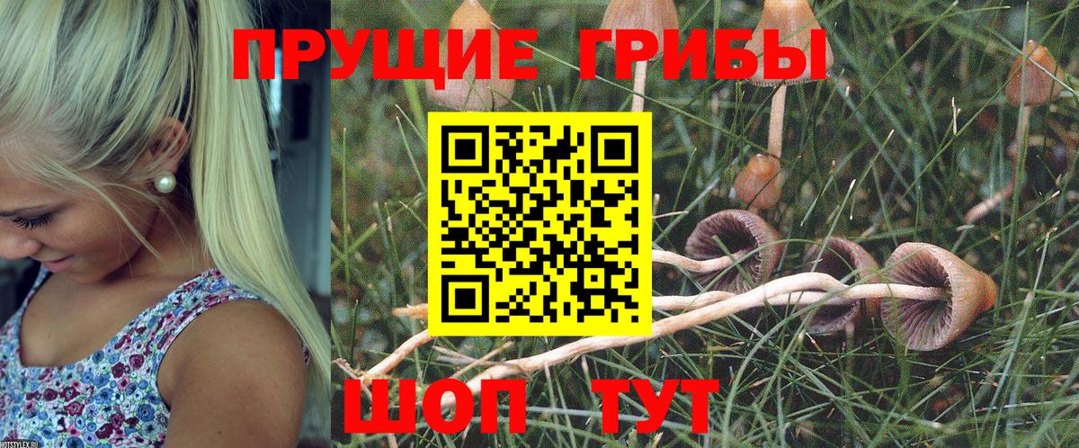 продажа наркотиков  Псилоцибиновые грибы ЛСД  Вход с VPN  Галлюциногенные грибы MAGIC MUSHROOMS  Курск 