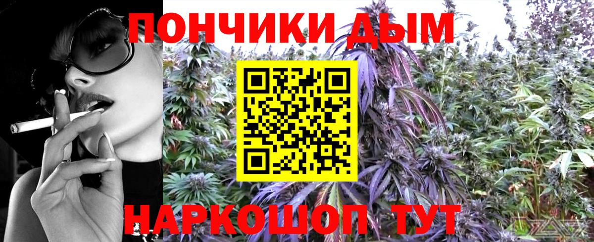 Бошки Шишки LSD WEED Курск